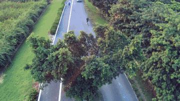 浅谈国内跟随系留无人机技术和实践